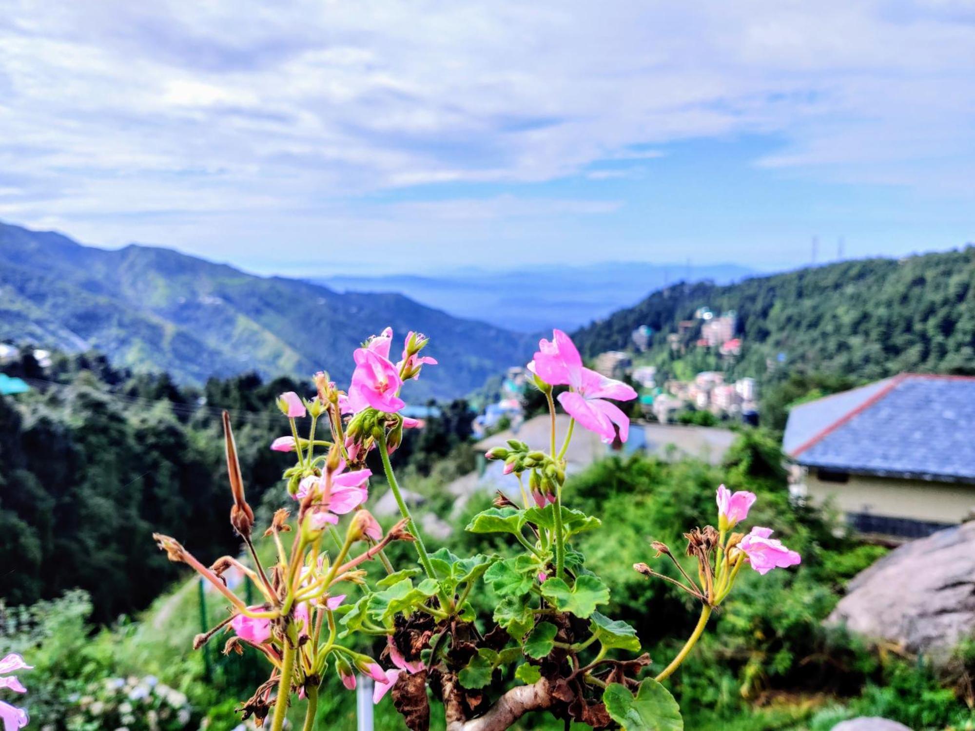 Utopia Hostels Dharamkot Mcleodganj Dharamsala Zewnętrze zdjęcie